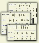 Phonetic Units