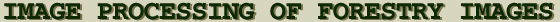 USFS